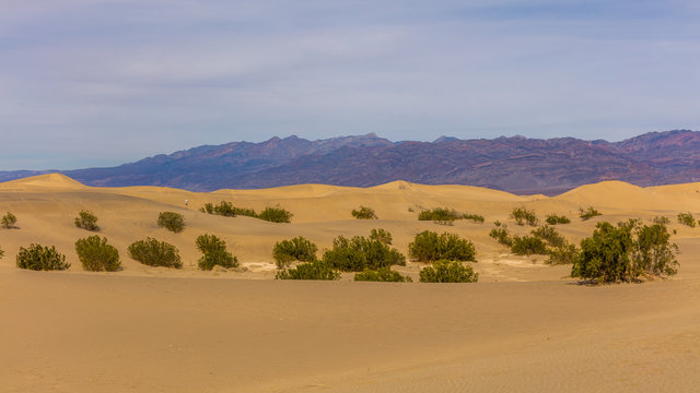 Sand dunes are nearly surrounded by mountains on all sides. Soft, sandy orange waves shine orange light. Mesquite Flat Sand Dunes, Death Valley National Park, California