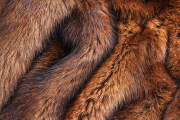natural fur closeup