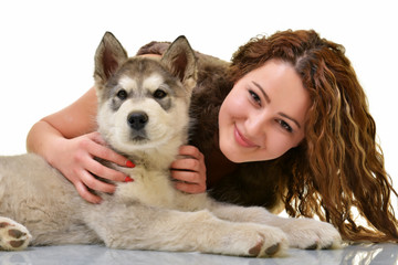 Young Alaskan Malamute