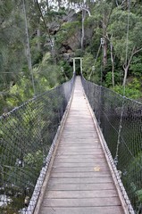 Fototapeta premium footbridge along hinking path Bens Walk in the escarpment near Nowra, New South Wales, Australia 
