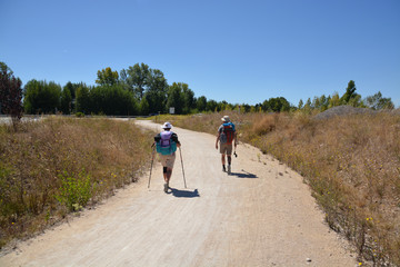 Obraz premium peregrinos durante el Camino de Santiago