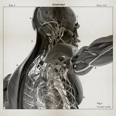 Human anatomy. 3D illustration. Vintage illustration of muscular and vascular system.