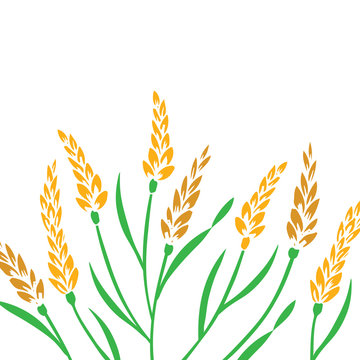 Field of Wheat, Barley or Rye vector visual illustration, isolated on white background.