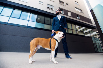 Businessman standing on the street holding a dog on a leash.