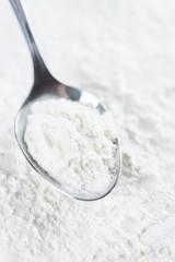 Milk Powder