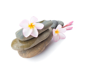 Fototapeta na wymiar Plumeria flower on stone for spa relax on white background