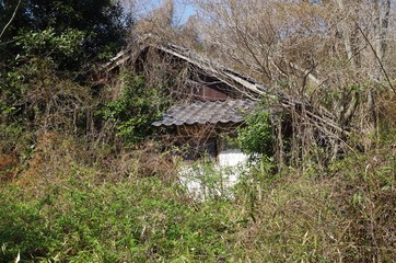 藪のなかの廃屋