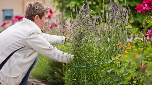 Woman put rope around lavender flower