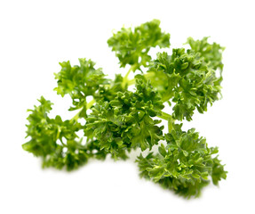 parsley on a white background