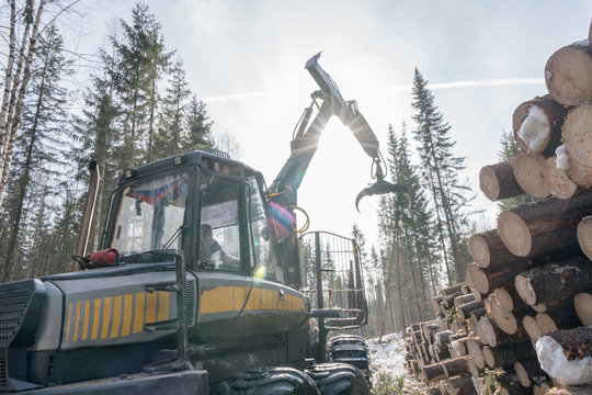 Forestry. Image of logger at work in winter woods