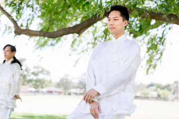 People practicing thai chi in park