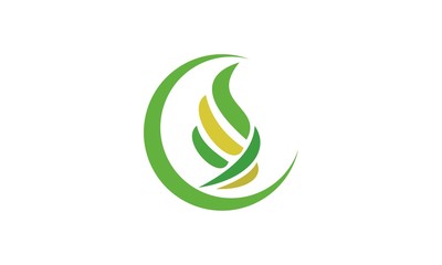 green leaf beauty logo