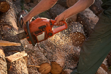 A man cutting tree with chainsaw.