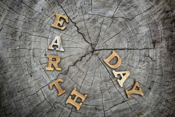 Earth day word on wood background, save the earth idea