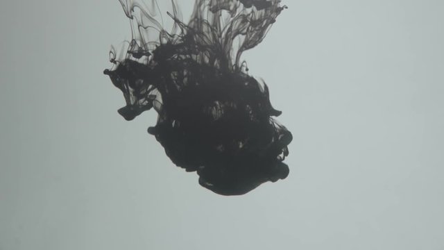 Ink clouds moving through water