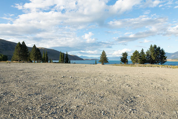 ground near lake in summer day in new zealand