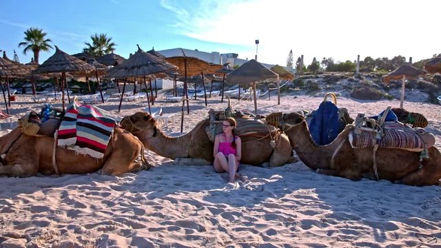 Woman sit next to camels on sand beach