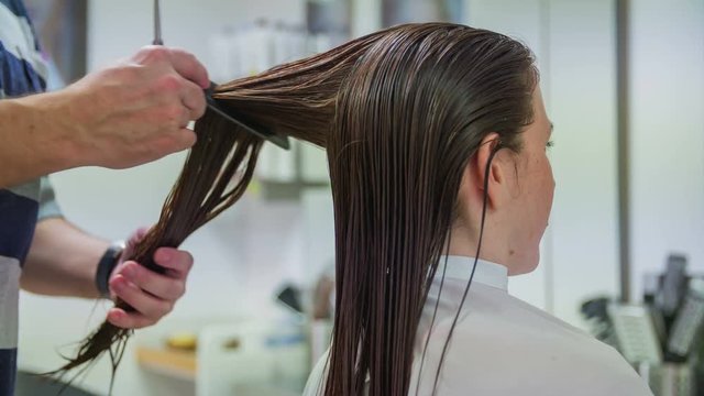 Professional hairdresser combing long wet woman hair