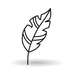 feather icon design 