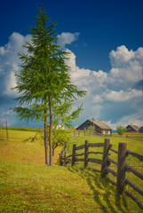 Fototapeta na wymiar Carpathian mountain village meadow