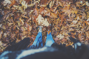 Girl standing in autumn leaves
