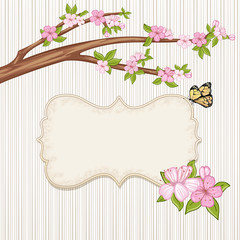 Springtime background . Cherry blossom, branch with pink flowers.