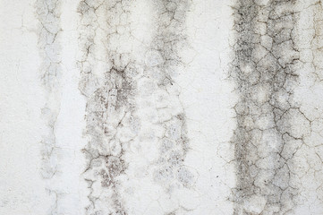 cement texture background