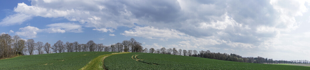 Panoramabild einer grünen Landschaft unter weiß-blauem Himmel