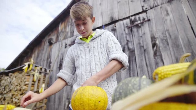 Young boy cleaning pumpking inside low angle