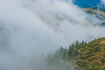 View of misty autumn mountains