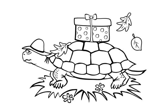 Schildkröte (Malvorlage)