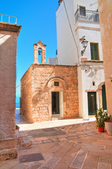 Fototapeta na wymiar Church of St. Stefano. Polignano a mare. Puglia. Italy. 