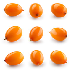Sea buckthorn isolated on the white. With clipping path. Collect - obrazy, fototapety, plakaty
