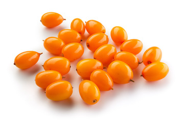 Sea buckthorn isolated on the white.