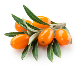Sea buckthorn isolated on the white. With clipping path.
