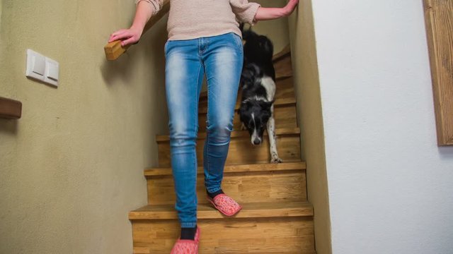 Dog afraid to walk down stairs behind owner