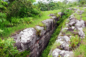 landscape Grass view in rock breaking Phu Hin Rong Kla Phitsanul