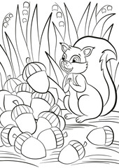 Coloring page. Little cute squirrel stands and looks at a pile of acorns. The squirrel is surprised and happy.