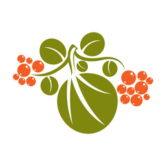 Simple green vector leaf with orange seeds, stylized nature symbol