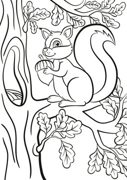 Coloring page. Little cute squirrel sits on the banch of a tree. The squirrel smiles and holds an acorn in the hands.