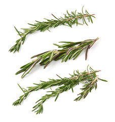 rosemary