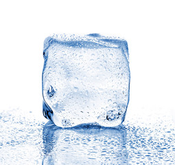 Melting ice cube close-up on a white background.