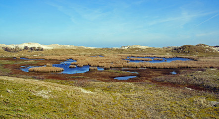 Dünenlandschaft auf Norderney