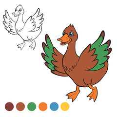 Coloring page. Color me: duck. Cute duck runs and smiles. It waves her wings.