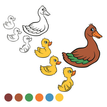 Coloring page. Color me: duck.  Kind duck and free little cute ducklings swim on the lake. They are happy and smile.