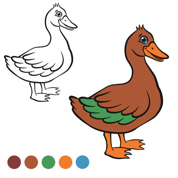 Coloring page. Color me: duck.  Little cute duck stands and smiles. It`s happy.