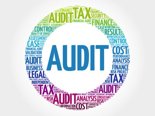 AUDIT word cloud, business concept