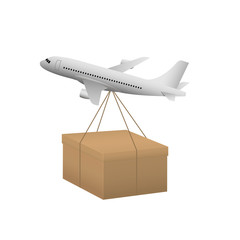 Air shipping concept