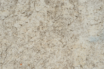 Wall fragment with attritions and cracks