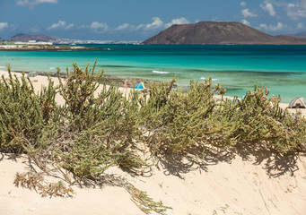 View of Lobos island from Beach in Corralejo, Fuerteventura, Canary Islands, Spain